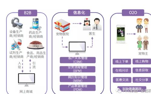 优宠智能2021 宠物产品与服务的引爆点与网络技术服务新路径