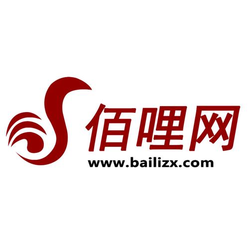 上海佰哩信息技术 以网络技术服务赋能企业数字化转型